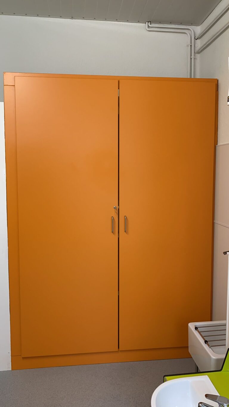 Bespoke cupboard Orange